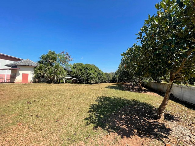 ขายที่ดินพร้อมบ้าน เจ้าของขายเอง เหมาะทำเป็นที่อยู่อาศัยหรือบ้านพักตากอากาศ  อำเภอด่านซ้าย จังหวัดเลย